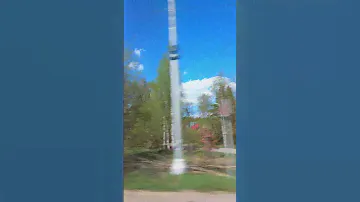 1 мая 2024 г.Поселок -Ашукино