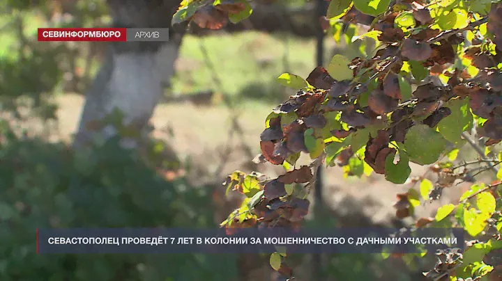 Житель Севастополя проведёт 7 лет в колонии за мошенничество с дачными участками