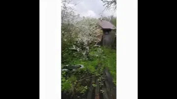 Продаю дачный участок с домиком в СНТ "Малинки"!!!
