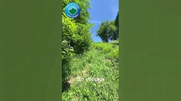 Посмотрите как преобразился участок всего за 5 часов!!