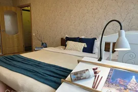 Продам однокомнатную квартиру 30.4 м² этаж 9/9 город Санкт-Петербург проспект Дачный 3/1 Кировский