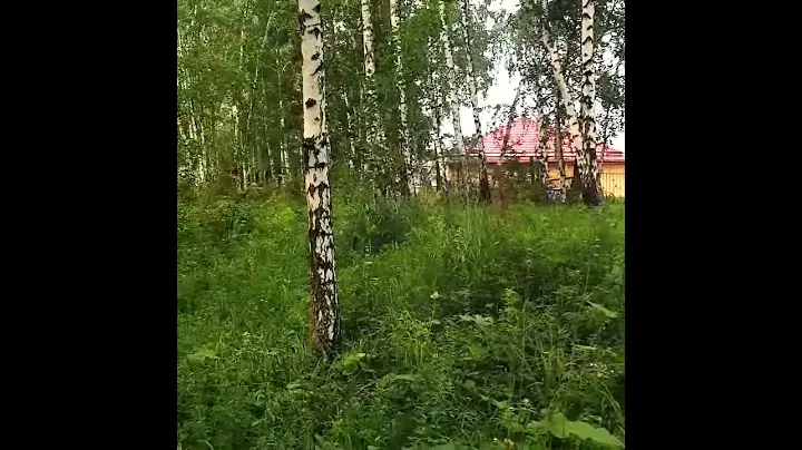 Продам | дом | в 10км |от| города| Красноярска| 89504231717| поселок |Элита