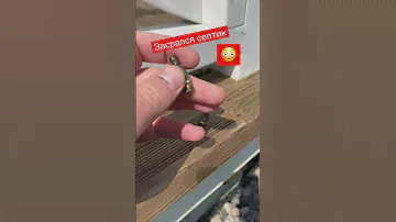 Чистка септика #рыбинск #стройка #дача #септик #своимируками