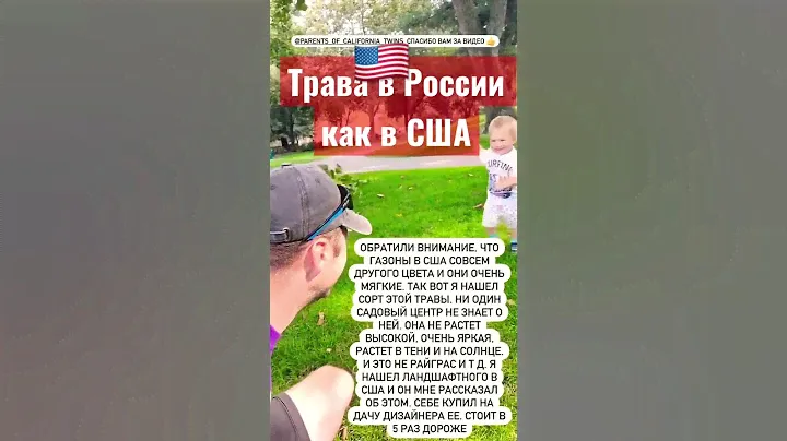 Трава в США ЗЕЛЕНЕЕ?!🇺🇸 #газон #дача