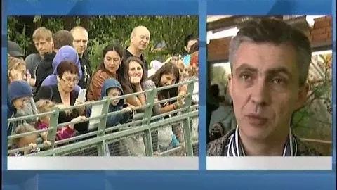 «Роев Ручей» ответил на претензии прокуратуры к содержанию животных