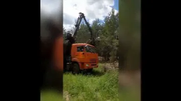 расчистка участка, вывоз мусора