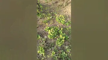 погода на Урале 22 апреля вечер